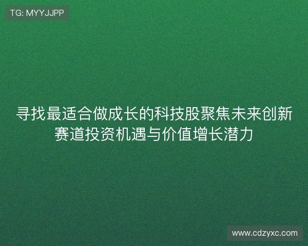 寻找最适合做成长的科技股聚焦未来创新赛道投资机遇与价值增长潜力